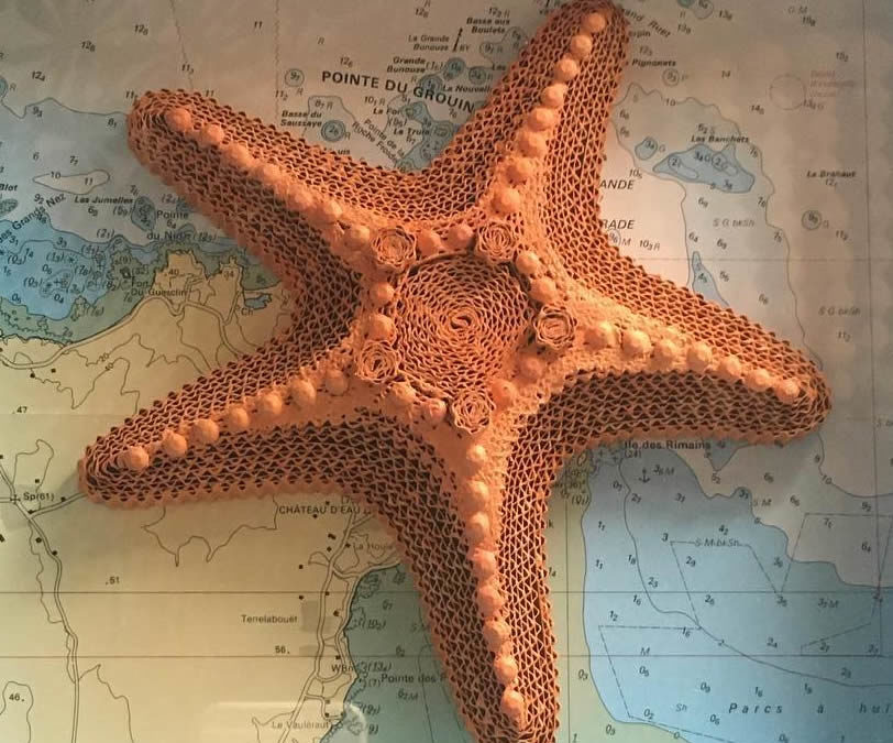 Sur le chemin des étoiles de mer