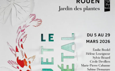 Banquet végétal au bord de l’eau