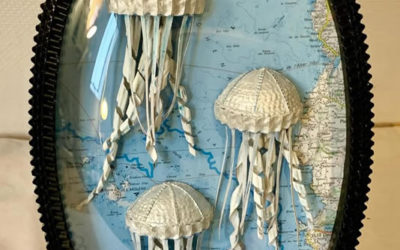 Trio de petites méduses