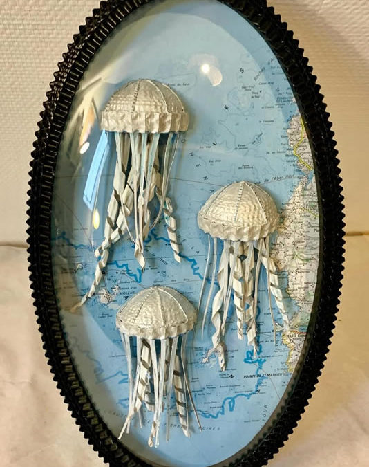 Trio de petites méduses