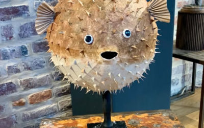 Poisson globe réalisé en carton